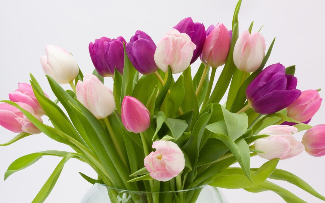 Real talk ~ What Happened to Free Coaching?