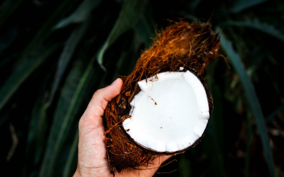 The Coconut Oil Craze – Should You Jump on the Bandwagon Too?