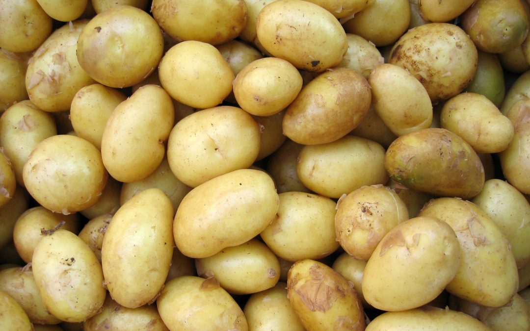 Heartburn – Can It Be Helped with Foods and Lifestyle?